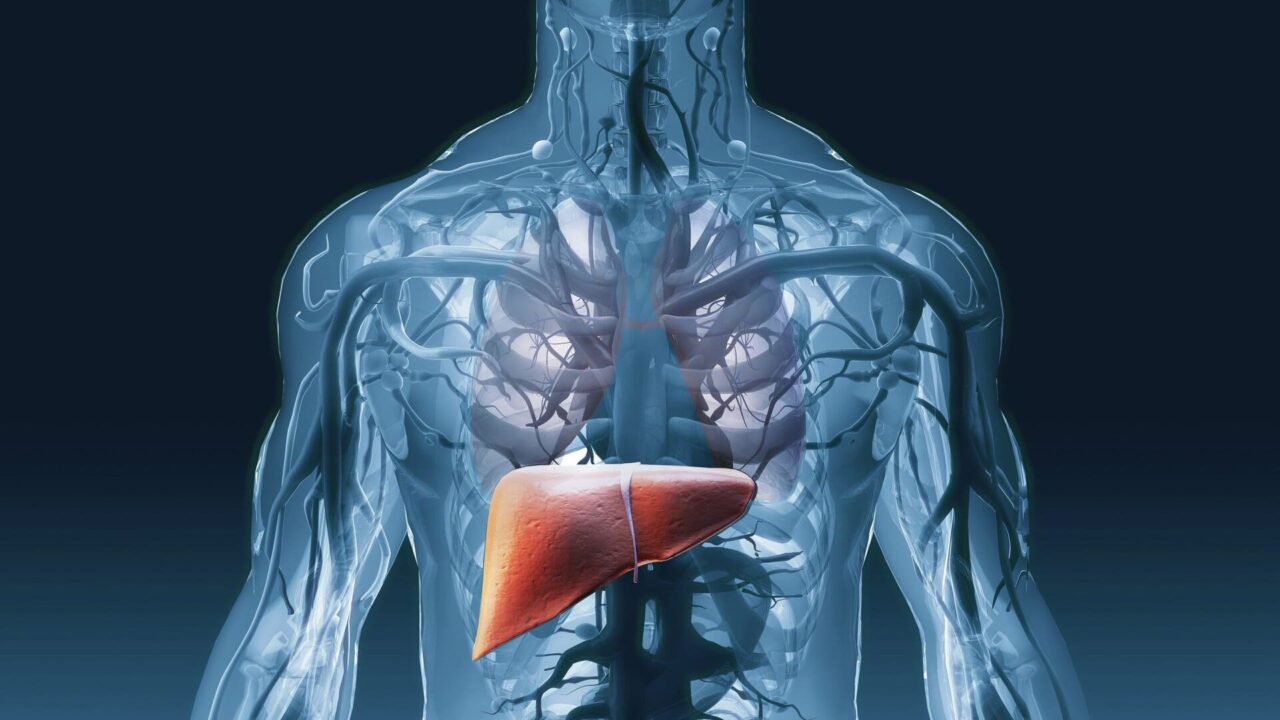 Incyte 211 Liver